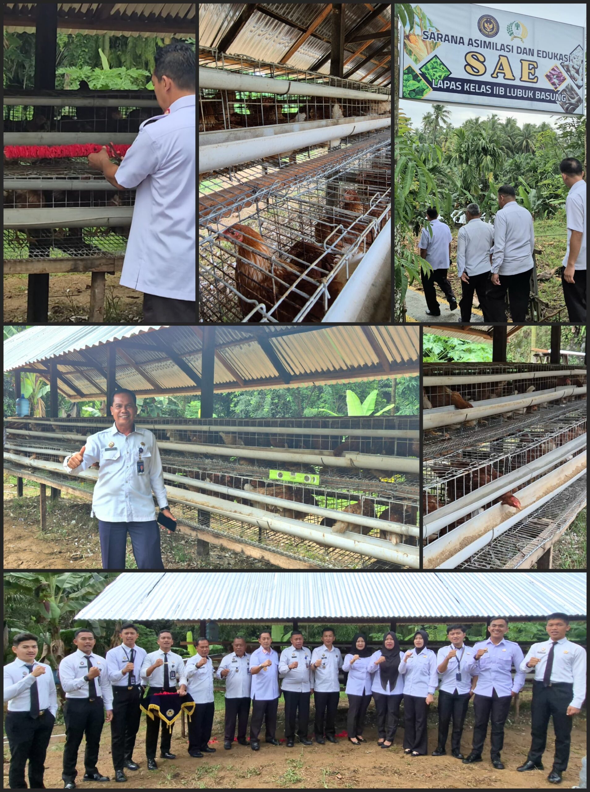 Dukung Ketahanan Pangan, Lapas Lubuk Basung Resmikan Usaha Peternakan Ayam Petelur