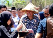 Petani di Pasaman Bakal Terima Layanan Bajak Gratis