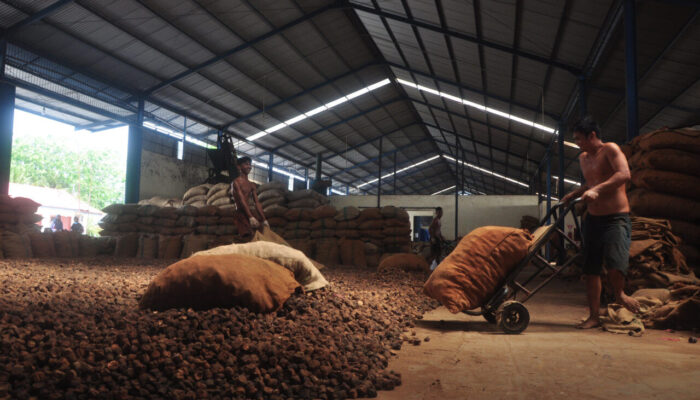 DPR Pertanyakan Kenapa  Gambir Belum Jadi Komoditas Strategis