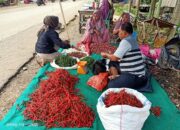 Harga Cabay Meledak di Dharmasraya, Ibu-Ibu Pulang dengan Kantong Kosong