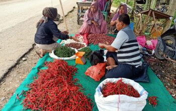 Harga Cabai Meledak di Dharmasraya, Ibu-Ibu Pulang dengan Kantong Kosong