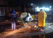 Hujan Mencekam di Padang, Pohon Roboh dan Tutup Akses Jalan Dekat Hotel Pangeran City