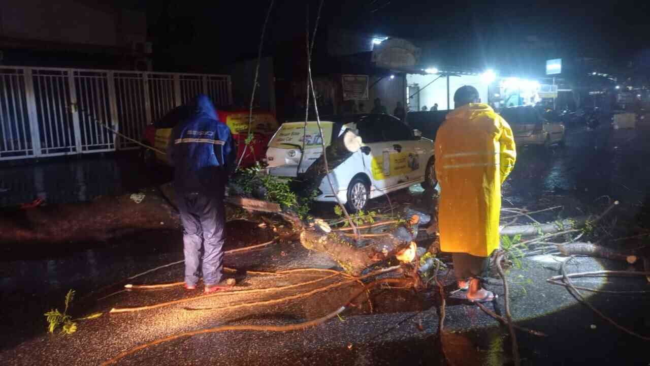 Hujan Mencekam di Padang, Pohon Roboh dan Tutup Akses Jalan Dekat Hotel Pangeran City