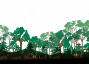 Ratusan Hektare Hutan di Pessel Dibabat