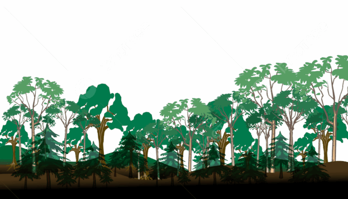 Ratusan Hektare Hutan di Pessel Dibabat