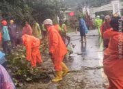 Pohon Tumbang Lagi, Arus Padang – Bukittinggi Ditutup Sementara