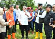 Menko Bidang Pangan Dukung Pembangunan TPST-RDF di Padang