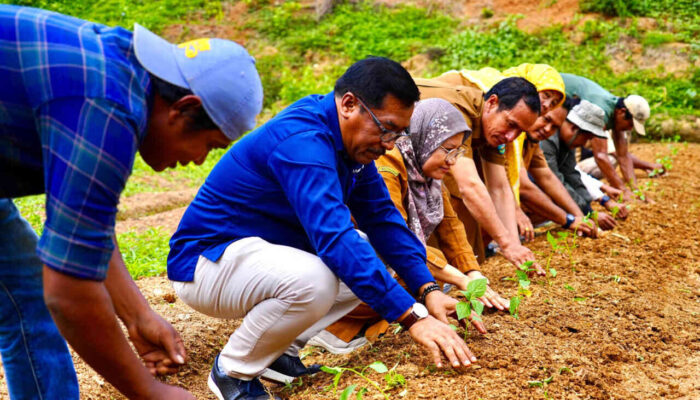 PTBA Bagikan 3.500 Bibit Cabai untuk Kelompok Tani