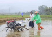 Pemkab Pasaman Luncurkan Layanan Bajak Gratis, Petani Kini Lebih Terbantu