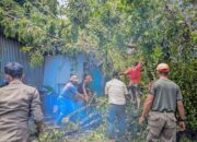 Dini Hari Mencekam, Pohon Hempaskan Atap Gudang di Padang, Kerugian Capai Jutaan Rupiah