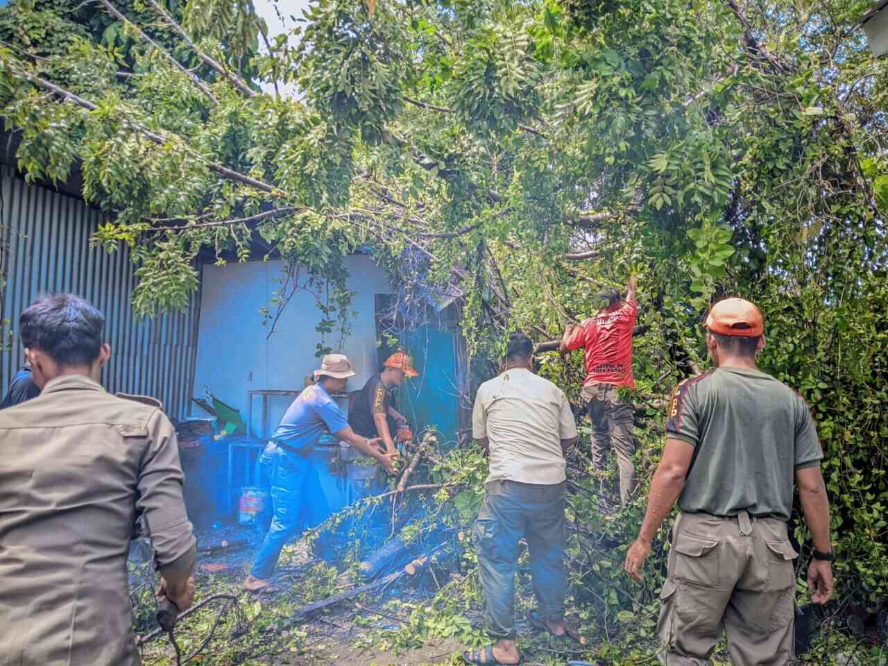 Pohon Hempaskan Atap Gudang di Padang, Kerugian Capai Jutaan Rupiah