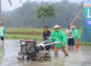 Pasaman Pacu Ketahanan Pangan