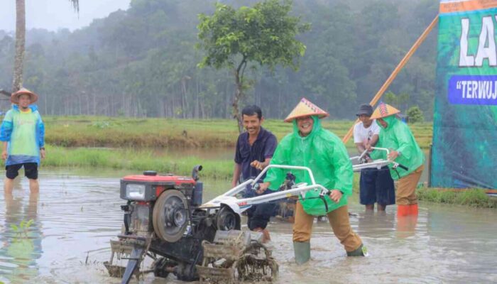 Pasaman Pacu Ketahanan Pangan
