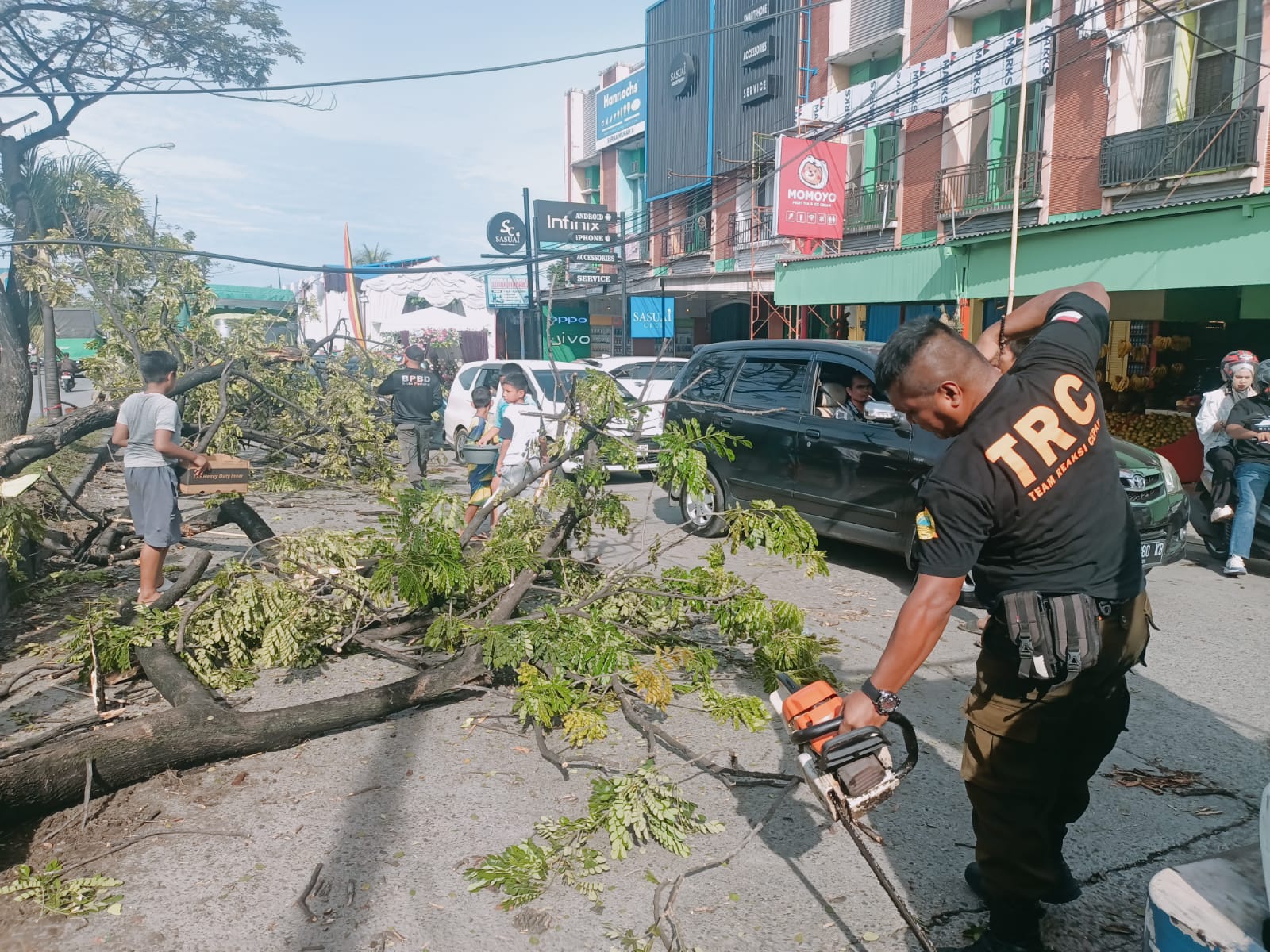 Truk Hantam Pohon Trembesi Raksasa, Akses Jalan Padang Tersendat