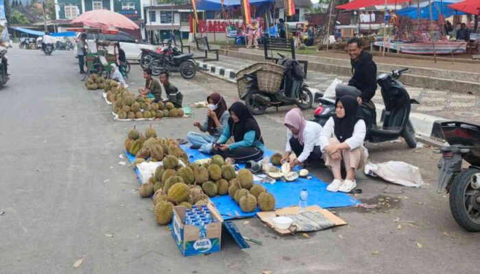 Musim Durian Dongkrak Perekonomian Warga Solsel