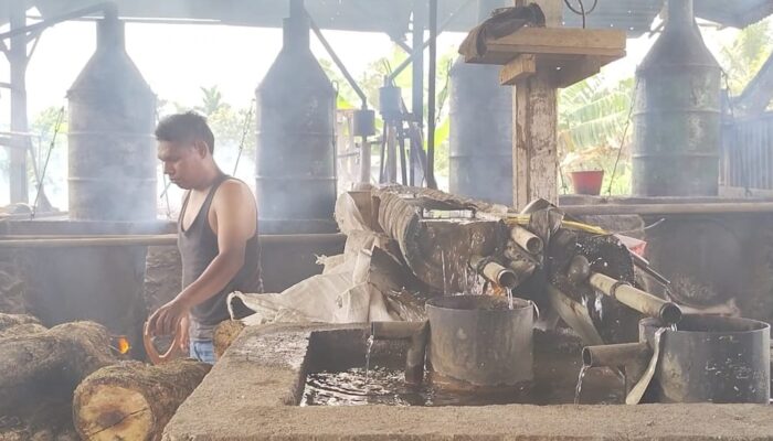 Harga Minyak Nilam di Pasaman Barat Naik