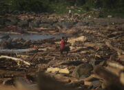 Bencana Sumbar, Ratusan Nyawa Manusia Melayang
