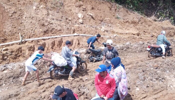 Tutupan Hutan Hilang, Walhi Minta Audit Ekologis Menyeluruh