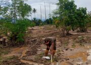 Satpol PP Padang Bersihkan Kawasan Tabiang Banda Gadang