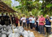 Pemkab menyerahkan bantuan untuk kelompok Budidaya ikan.