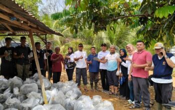 Bantuan Besar-besaran untuk Kelompok Budidaya Ikan Diserahkan, Dukung Kemandirian Pangan Dharmasraya