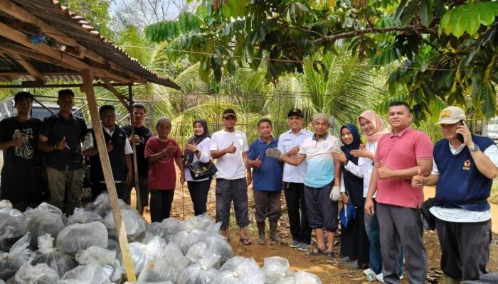 Bantuan Besar-besaran untuk Kelompok Budidaya Ikan Diserahkan, Dukung Kemandirian Pangan Dharmasraya