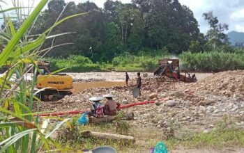 PETI Kian Menjamur di Kapur IX Saat Sumbar Masih Berduka