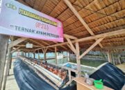 Presiden Prabowo Dijadwalkan Sambangi Polsek Koto Tangah yang Aktif Garap Lahan Pangan