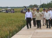 Indonesia Swasembada Beras Tahun 2025, Lebih Cepat dari Target