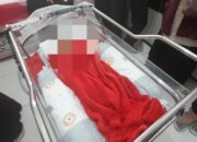 Bayi Cantik Dibuang, Banyak Warga Berminat Mengadopsi