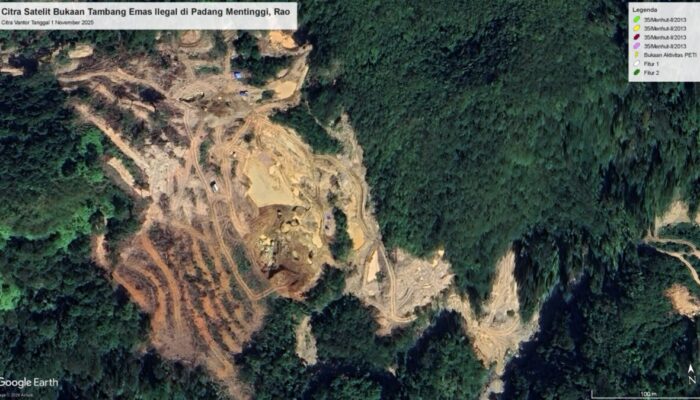 Izin 28 Perusahaan Dicabut, Butuh Tindakan Substantif Lanjutan untuk Menyelamatkan Lingkungan