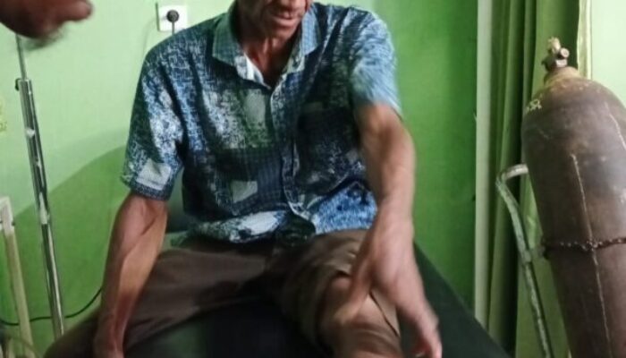Beruang Mengamuk Di Areal Persawahan, Tiga Petani Sinuruik Dilarikan Kerumah Sakit